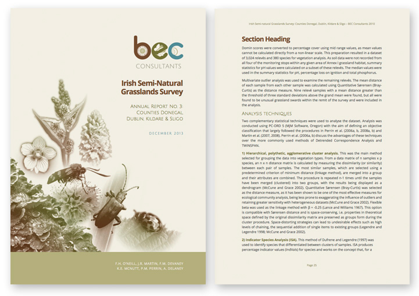 BEC Consultants Portfolio Detail 4