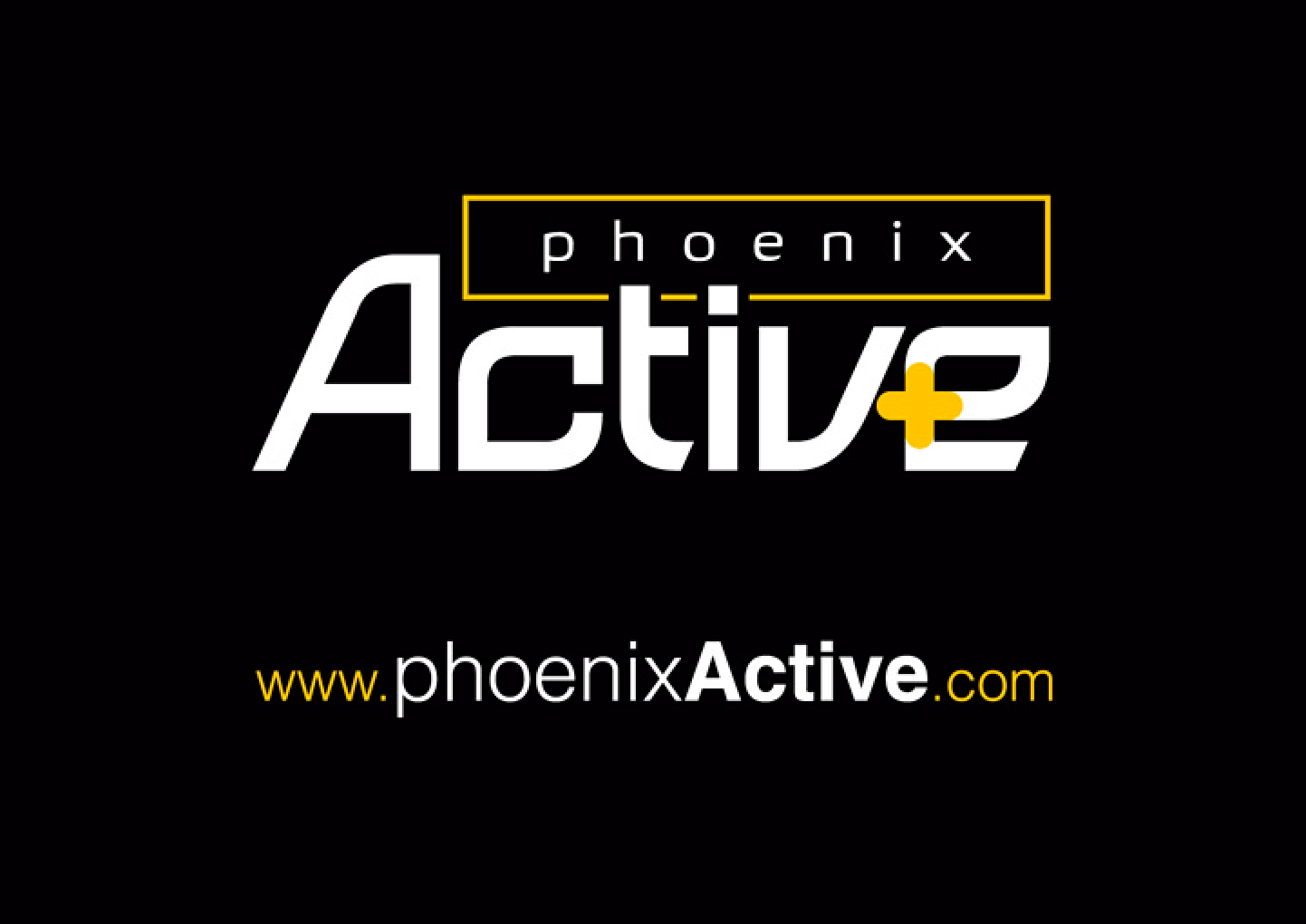 Phoenix Active Portfolio Detail 1