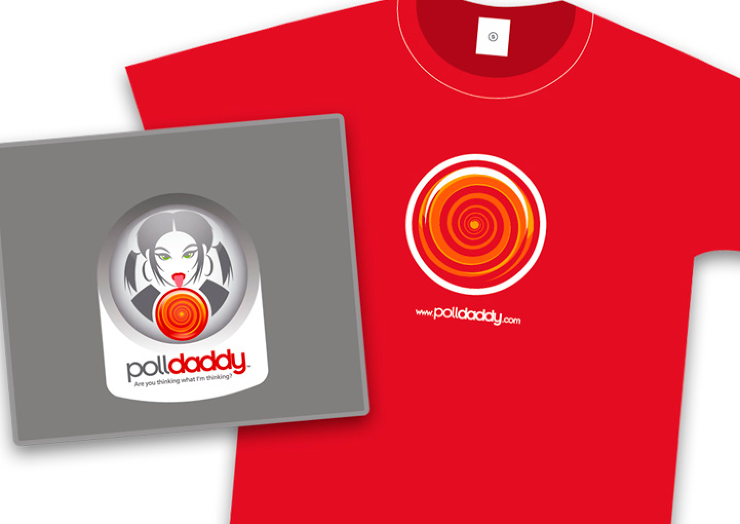 PollDaddy Portfolio Detail 5
