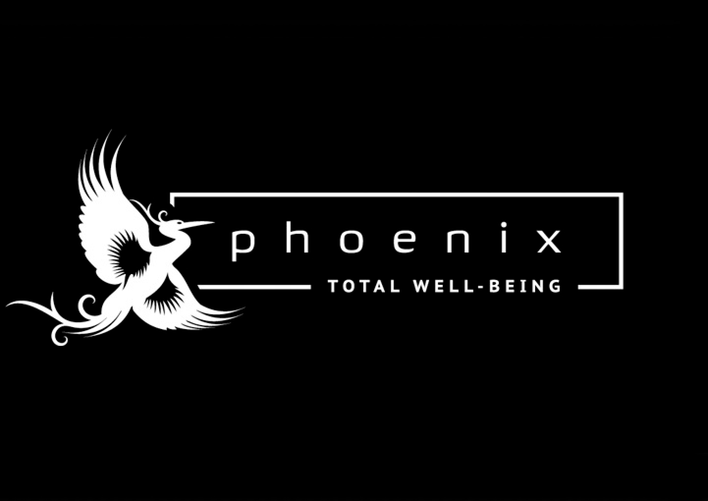 Phoenix Total Well Being Portfolio Detail 21