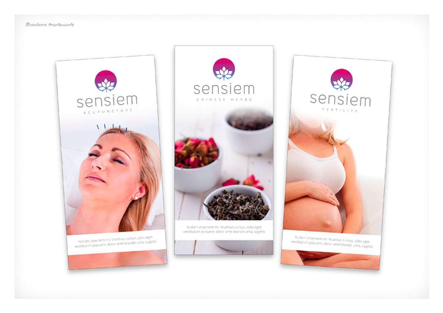 Sensiem Acupuncture Portfolio Detail 4