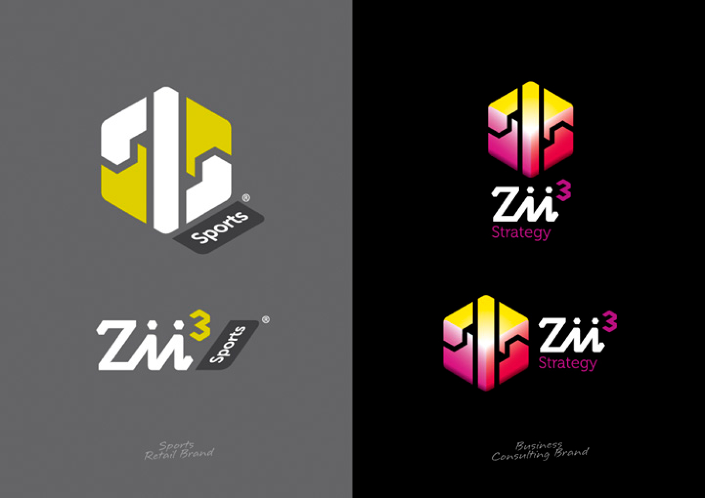 Zii3 Strategy Portfolio Detail 3