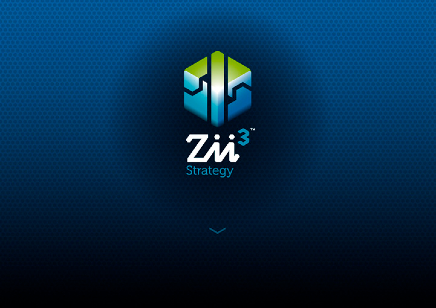 Zii3 Strategy Portfolio Detail 6