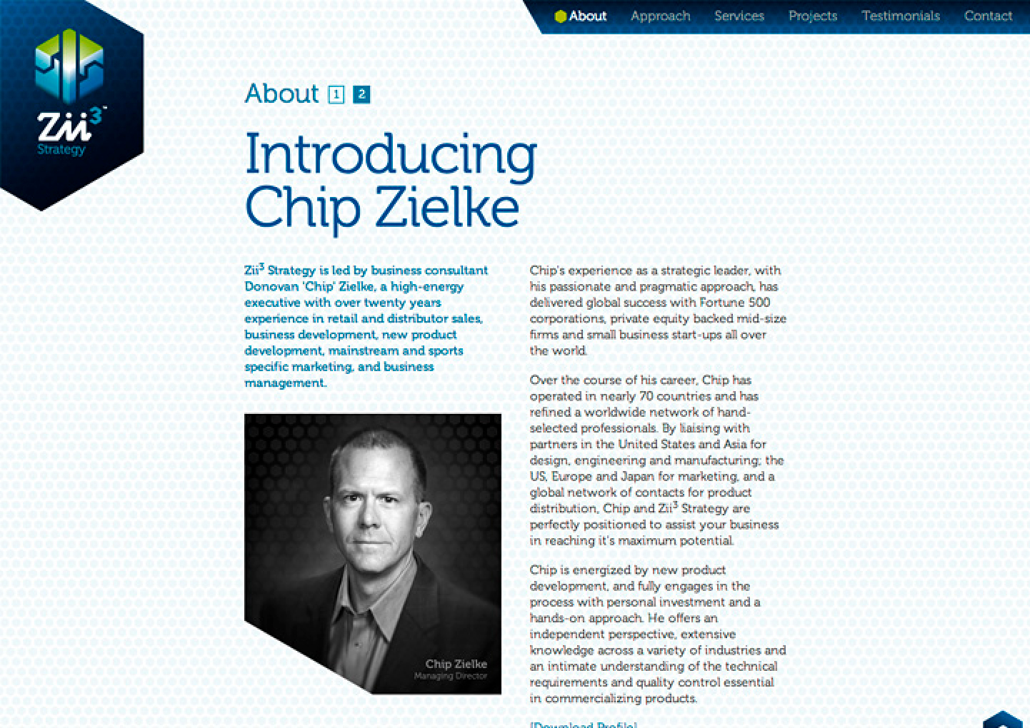 Zii3 Strategy Portfolio Detail 8