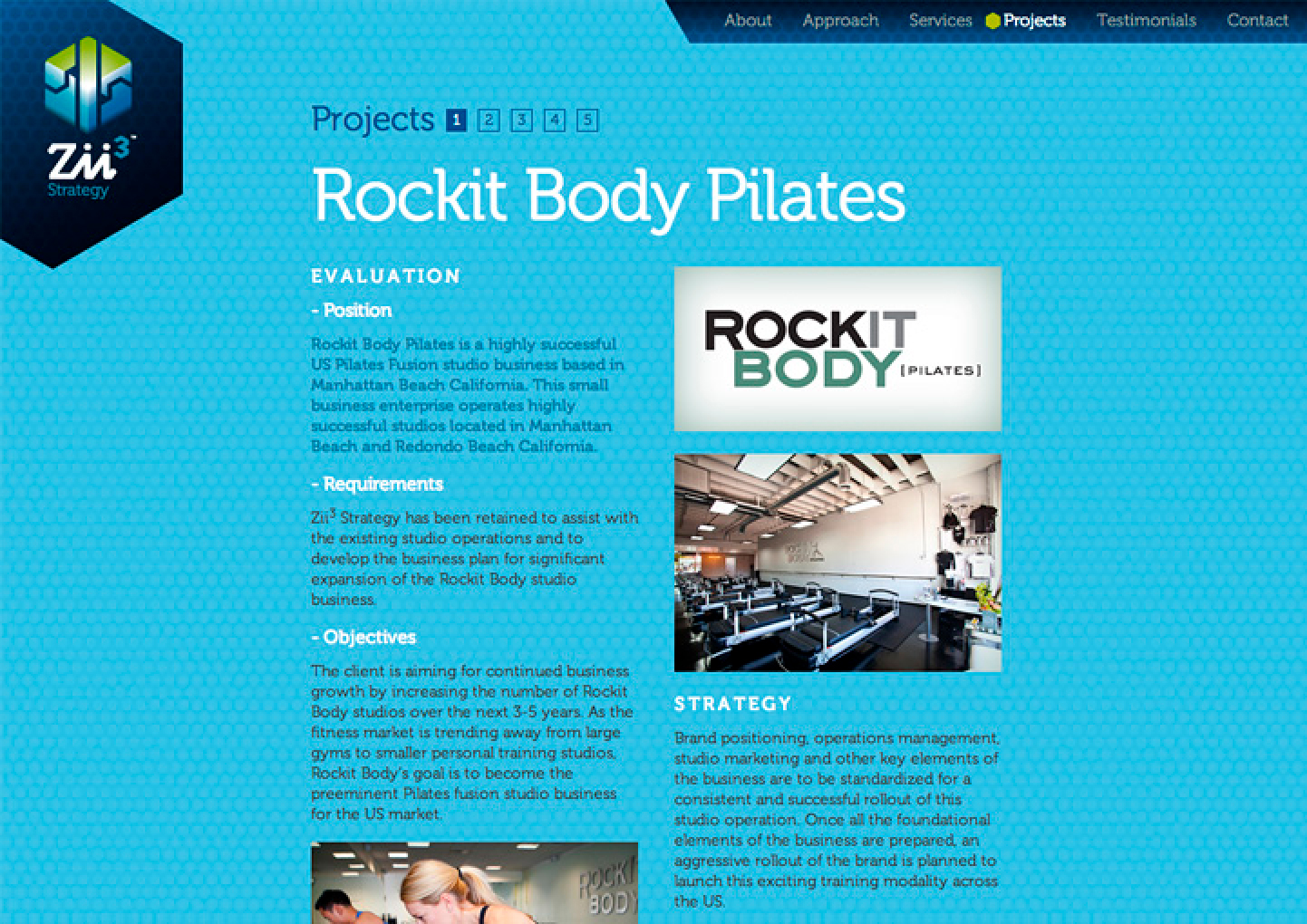 Zii3 Strategy Portfolio Detail 11