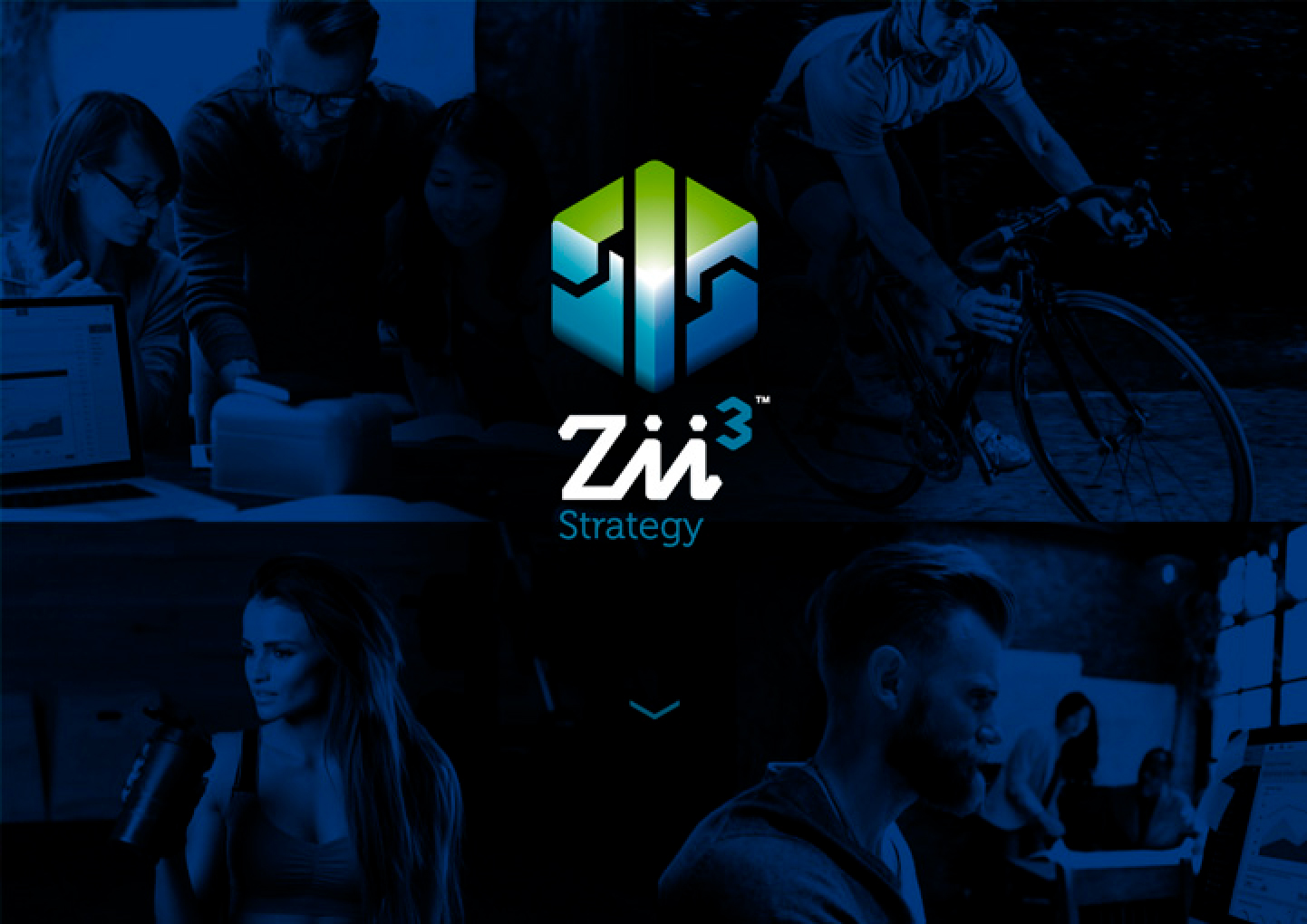 Zii3 Strategy Portfolio Detail 15