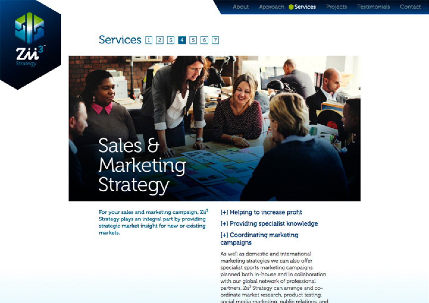 Zii3 Strategy Portfolio Detail 18